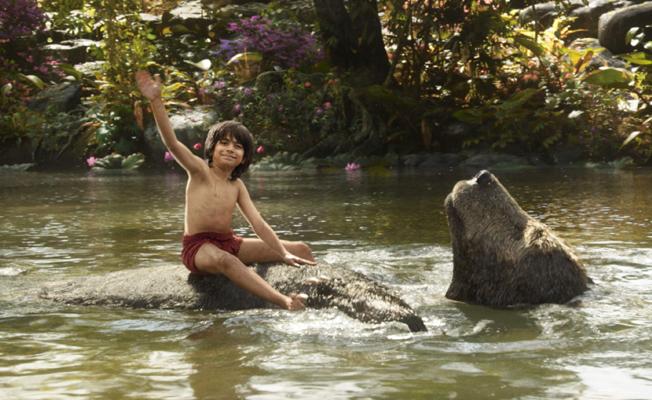 Mowgli and Baloo, sharing The Bare Necessities (© Walt Disney Studios, 2017)