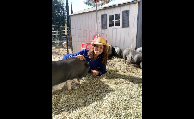 Jane Velez-Mitchell is an Executive Producer on the New Streaming Series "Pig Little Lies"