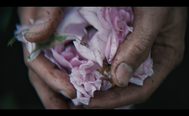 One Screen "Emerging Directors" Winner: REVERSE Director Bradley Tangonan's "Rose De Mai" short for Le Labo