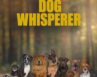 All American Licensing To Rep Chicken Soup For The Soul Pet Food Brand Shootonline